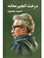 کتاب درخت انجیر معابد اثر احمد محمود - دو جلدی